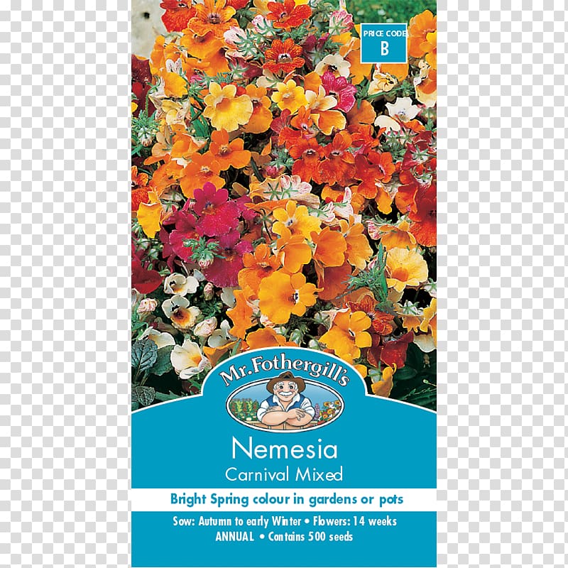 Nemesia Seed Flower Marvel-of-peru Annual plant, flower transparent background PNG clipart