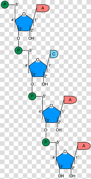 Line Point Angle, line transparent background PNG clipart thumbnail