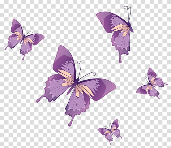 five purple butterflies , Monarch butterfly , butterfly watercolor transparent background PNG clipart