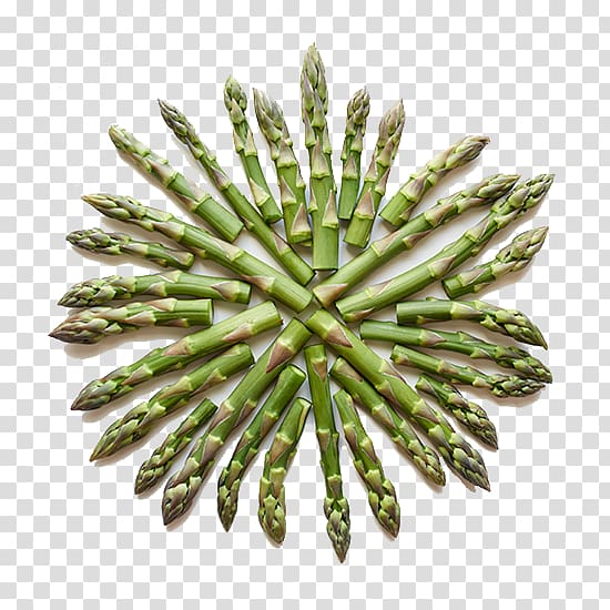 Asparagus Nutrient Vitamin A Plant stem Folate, others transparent background PNG clipart