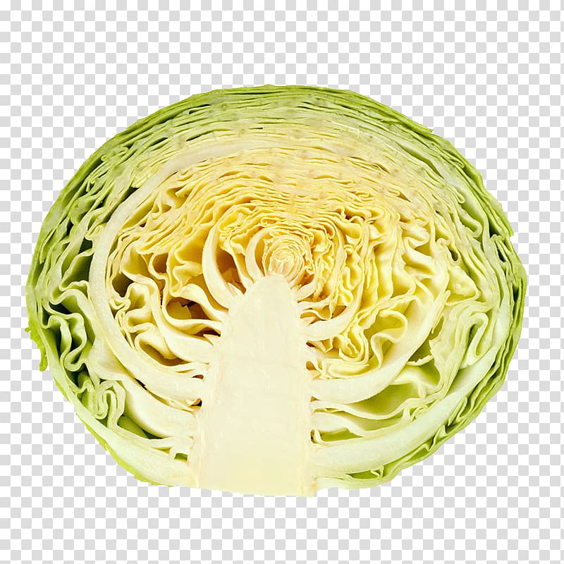 White cabbage Bratwurst Chinese cabbage, Cross-section of cabbage transparent background PNG clipart