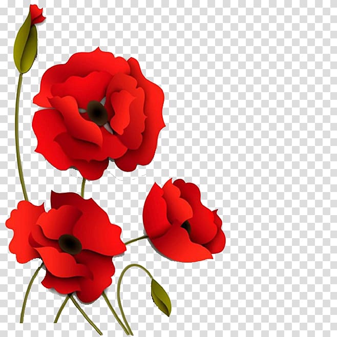 red flowers, Poppy Flowers Paper, Three-dimensional red flowers transparent background PNG clipart