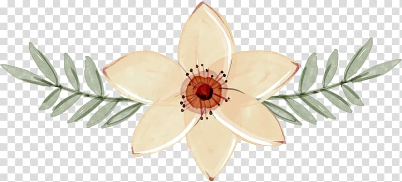 Floral design Graphic design User interface design, Decorative Plants transparent background PNG clipart