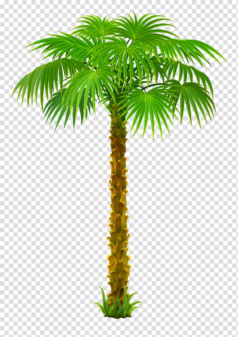 Arecaceae Tree , Coconut Tree Travel Poster Decorative material transparent background PNG clipart