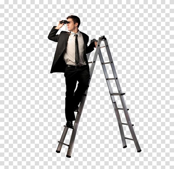 CCNA Training Institute Noida Rexton IT Solutions Business Money Job, cartoon ladder transparent background PNG clipart