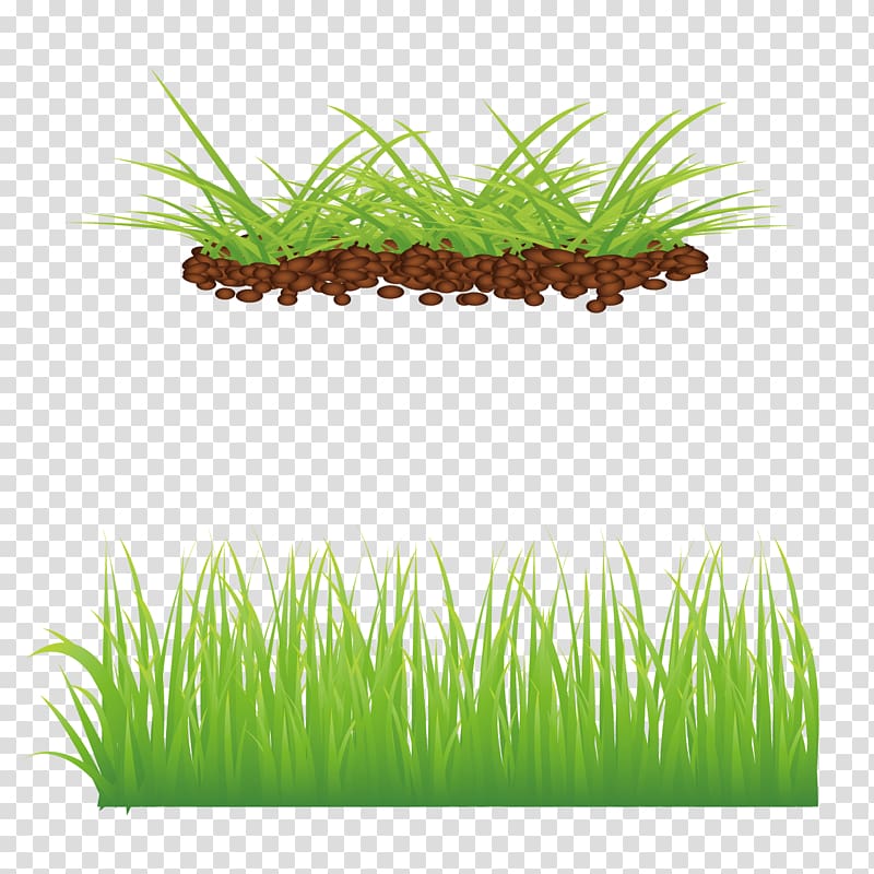 Green Ladybird Euclidean , green spring grass transparent background PNG clipart