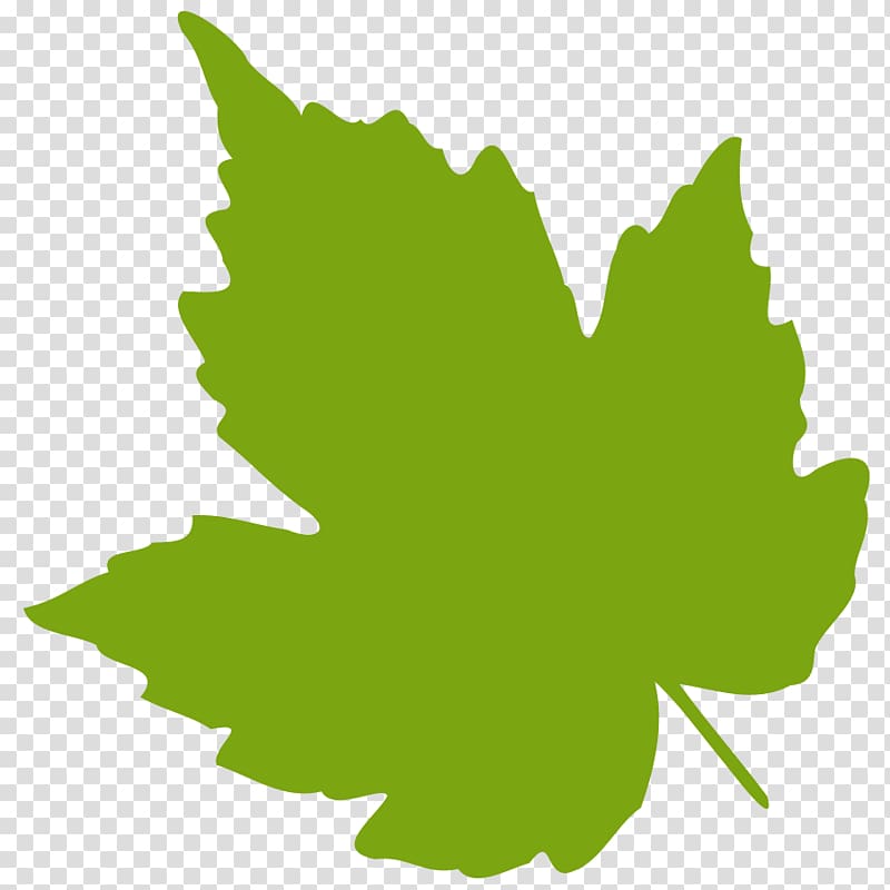 green leaves illustration, Grape leaves , Oak Leaf transparent background PNG clipart