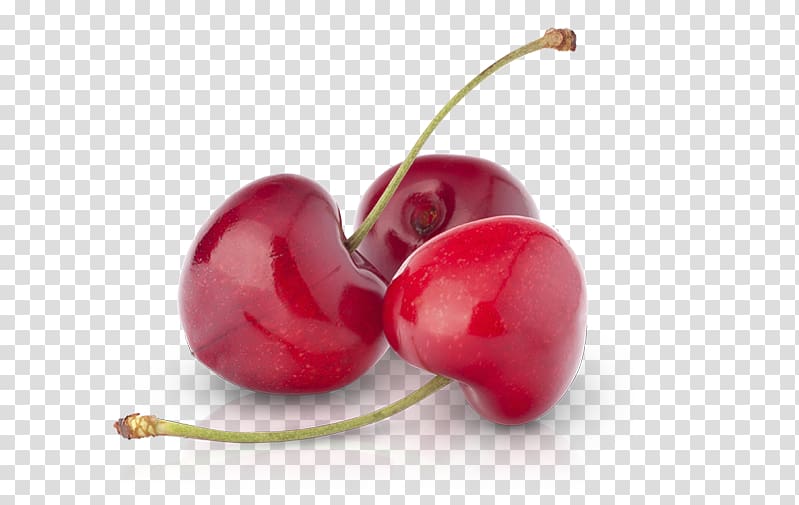 Cherry tomato Berry Food Sour Cherry, cherry tomatoes transparent background PNG clipart