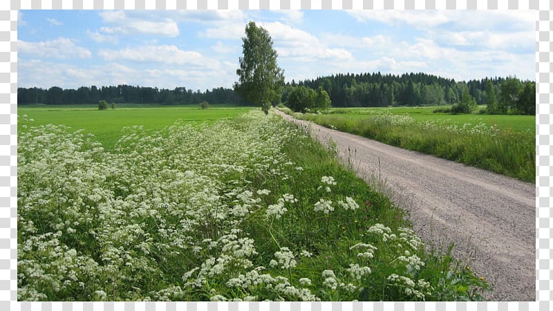 Suunnittelu Laukka Oy Ylivieska Take Me Home, Country Roads Pasture, country road transparent background PNG clipart