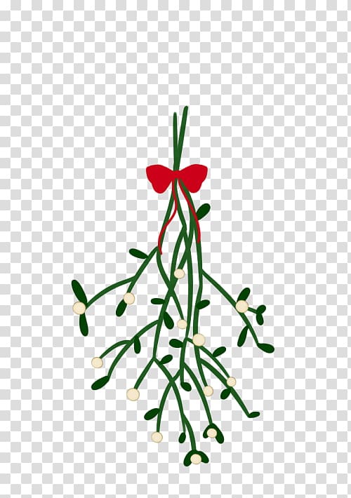 Christmas lights Mistletoe Christmas tree, mistletoe transparent background PNG clipart
