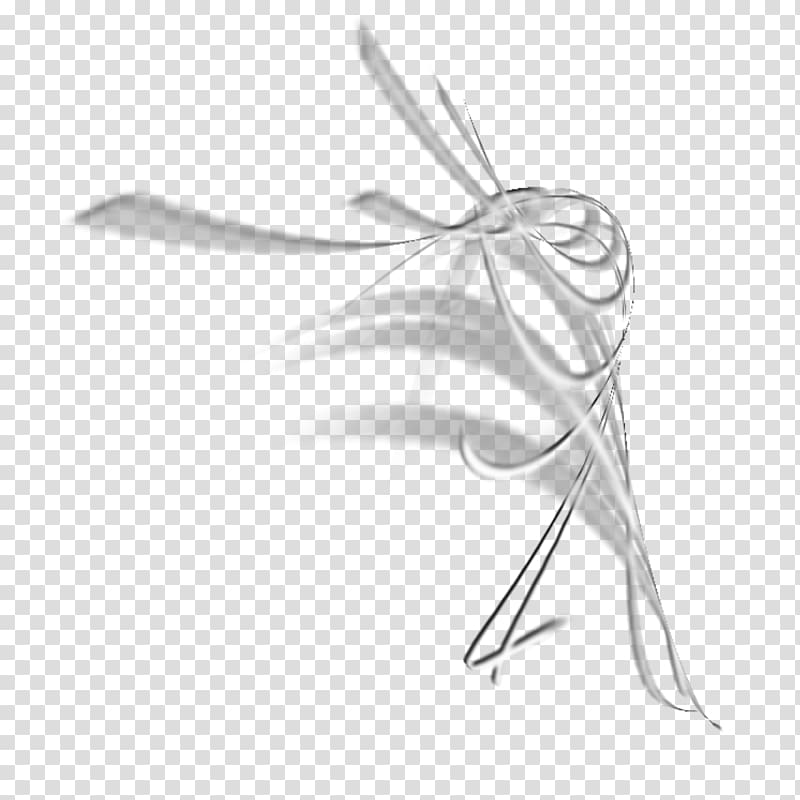 Insect White Line art, ps heart brush transparent background PNG clipart