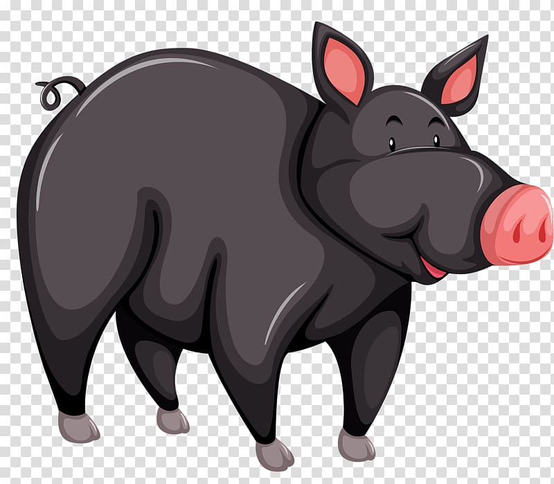 Large Black pig Black Iberian pig Cartoon, cartoon wild boar transparent background PNG clipart
