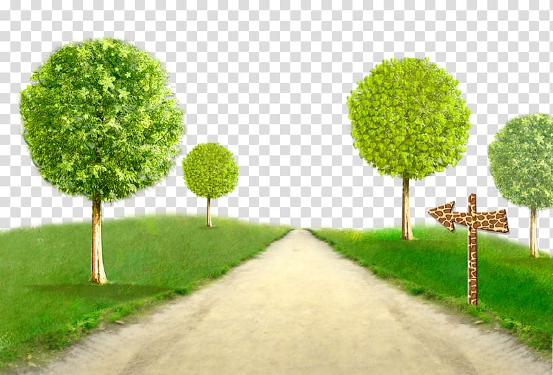 Tree, Trees creative green grass transparent background PNG clipart