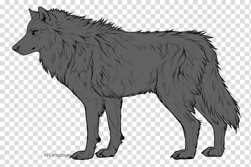 Fan art Drawing Australian Shepherd , wolf transparent background PNG clipart