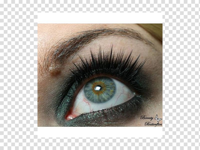 Eyelash extensions Eye Shadow Cosmetics Eye liner, lashes transparent background PNG clipart