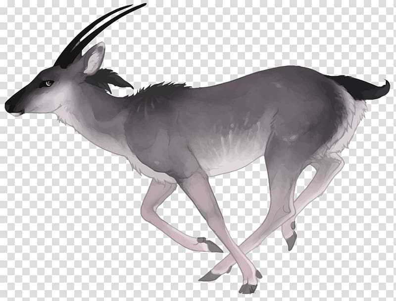Antelope Deer Watercolor painting, watercolor deer transparent background PNG clipart