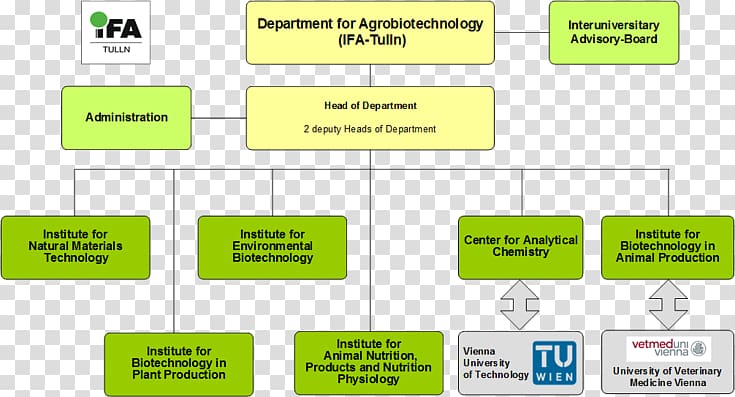 Biotech Organizational Chart