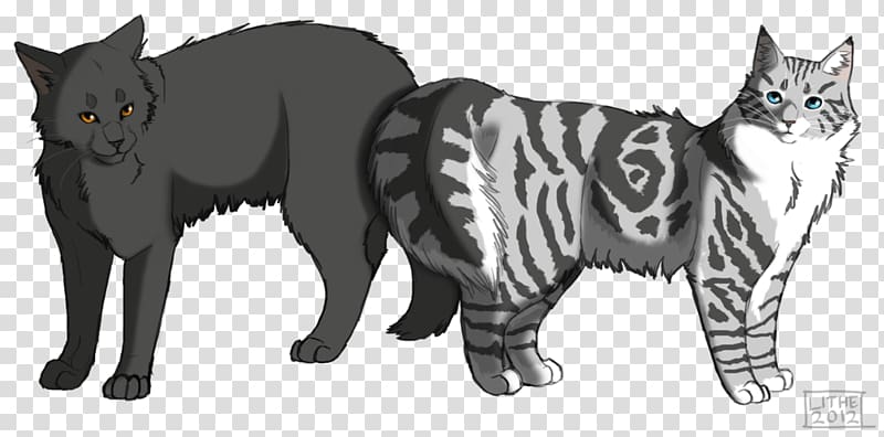 Warriors Moonrise Erin Hunter Feathertail Stormfur, tour series transparent background PNG clipart