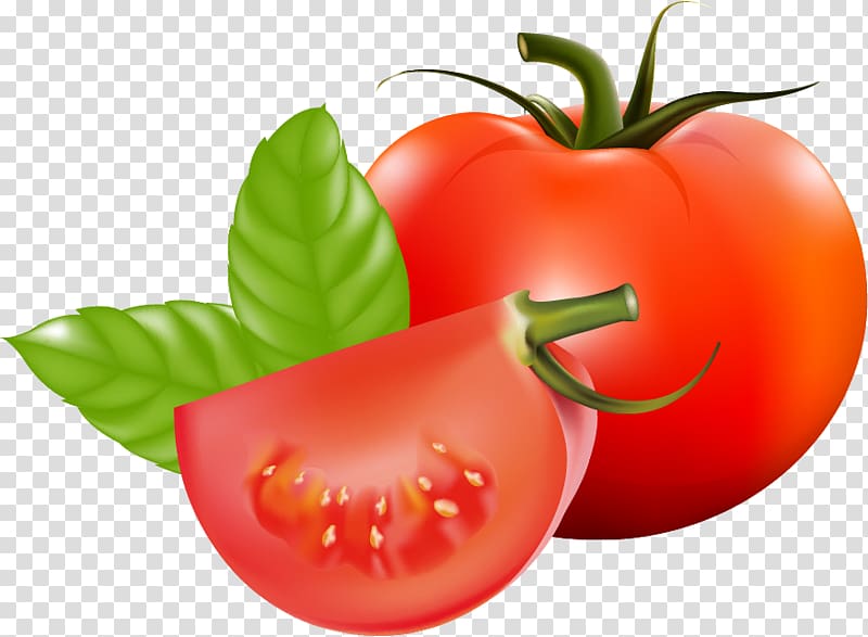 Plum tomato Cherry tomato Bush tomato Vegetable Fruit, Tomato leaf transparent background PNG clipart