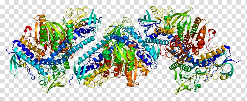 TXNRD1 Thioredoxin reductase Logo Gene, Flavin Adenine Dinucleotide transparent background PNG clipart