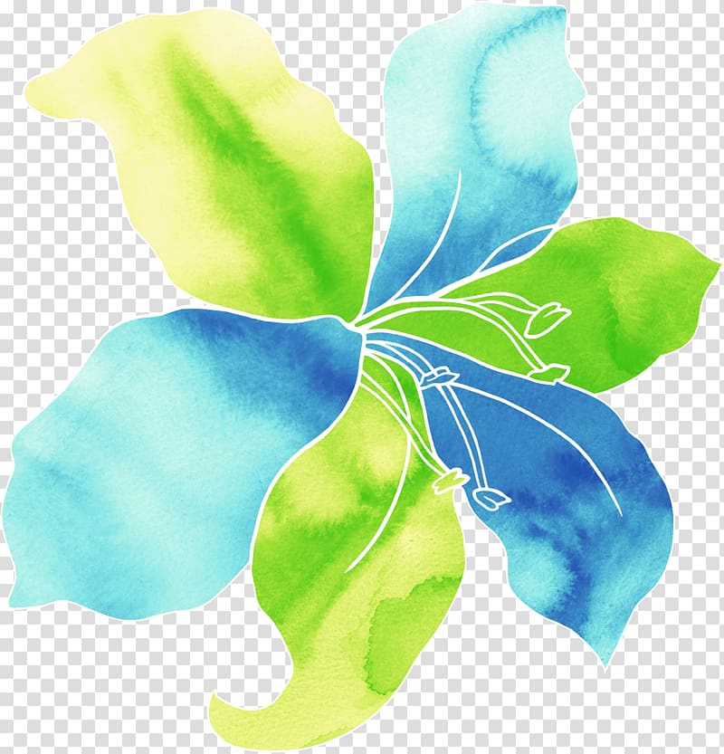 Watercolor painting , Lily blooming blue shading background transparent background PNG clipart