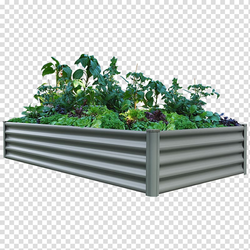 Raised-bed gardening Organic food Green wall, bed transparent background PNG clipart