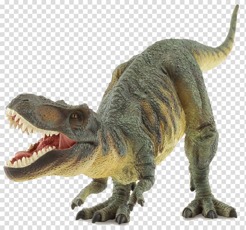 The Tyrannosaurus Rex Dinosaur Prehistoric life, dinosaur transparent background PNG clipart
