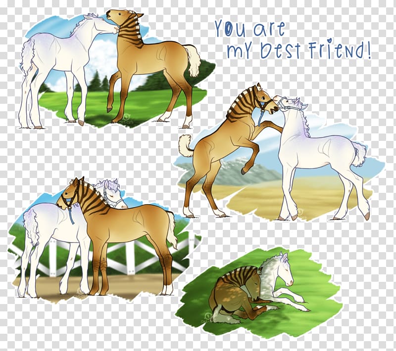 Mustang Foal Quagga Mane, friendship cats transparent background PNG clipart