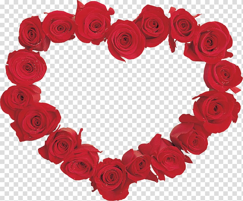Valentine\'s Day Garden roses Flower , HEART FLOWER transparent background PNG clipart