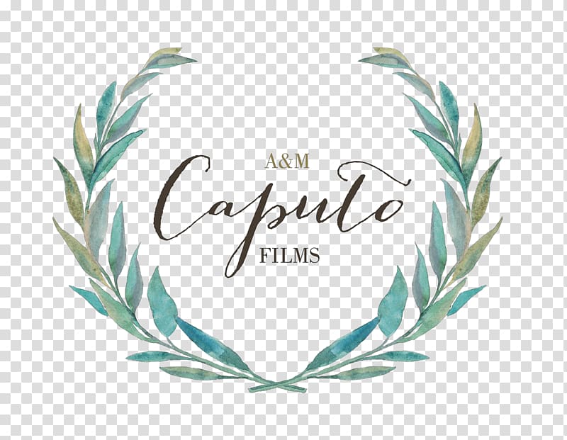 Wedding videography Videographer Green wedding Capri, wedding transparent background PNG clipart