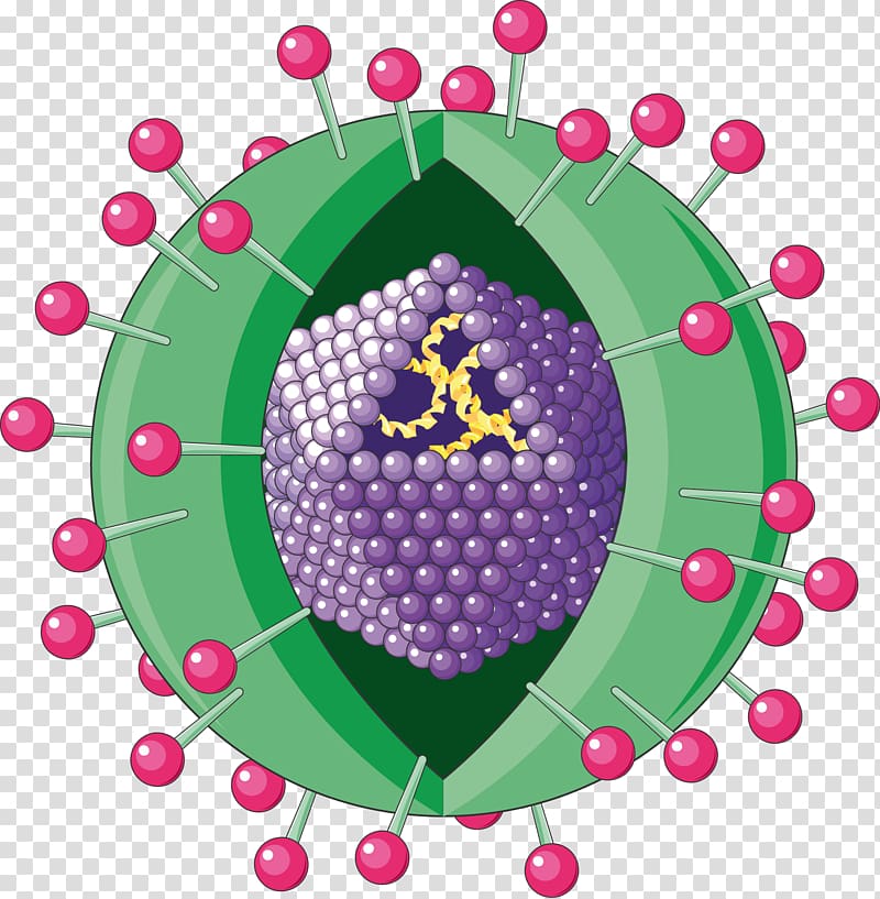 Viral hepatitis Hepatitis A virus Hepatitis A virus, Hepatitis transparent background PNG clipart