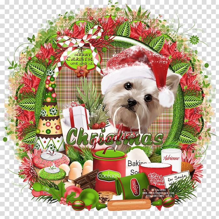 Dog breed Shih Tzu Puppy Companion dog Christmas ornament, puppy transparent background PNG clipart