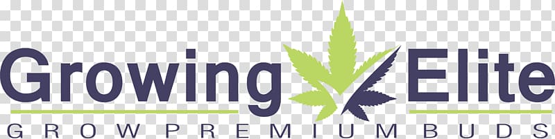 Business Growing Elite Marijuana Finance Organization, Business transparent background PNG clipart