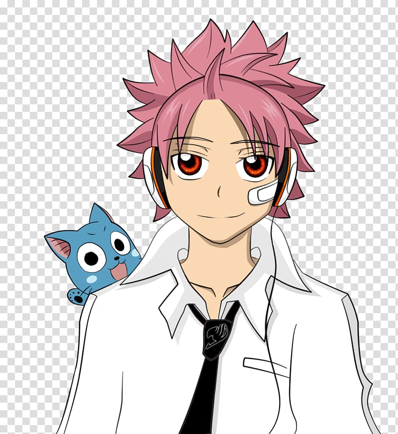 Natsu Dragneel Gray Fullbuster Erza Scarlet Fairy Tail Desktop , fairy tail transparent background PNG clipart