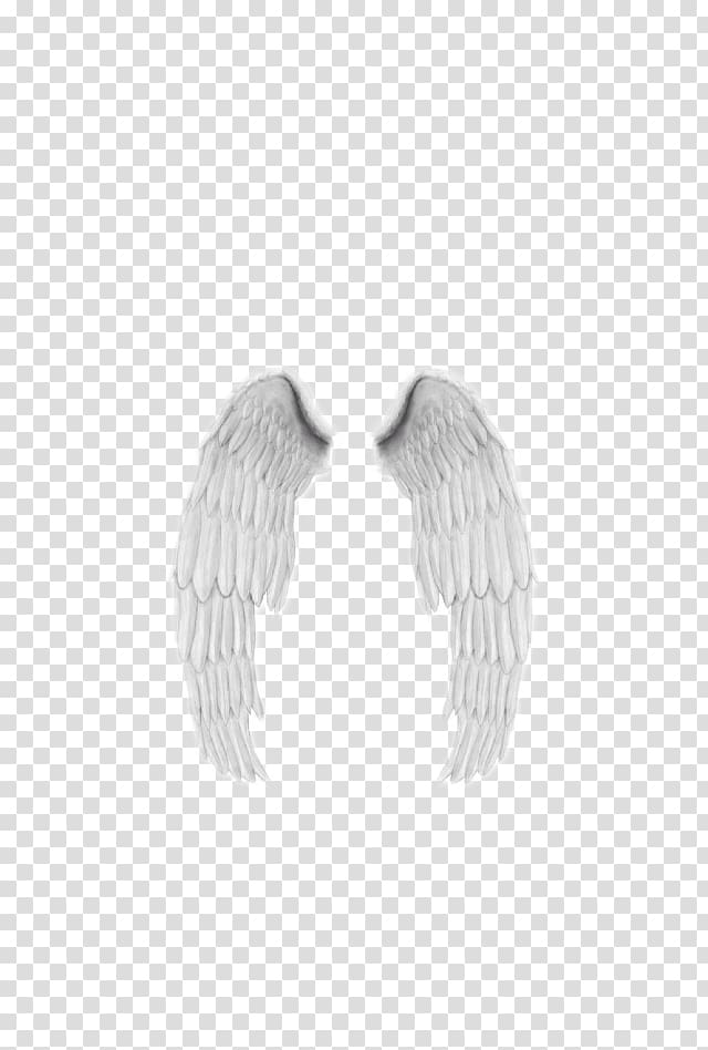Doll Angel wings Feather Polyvore, doll transparent background PNG clipart