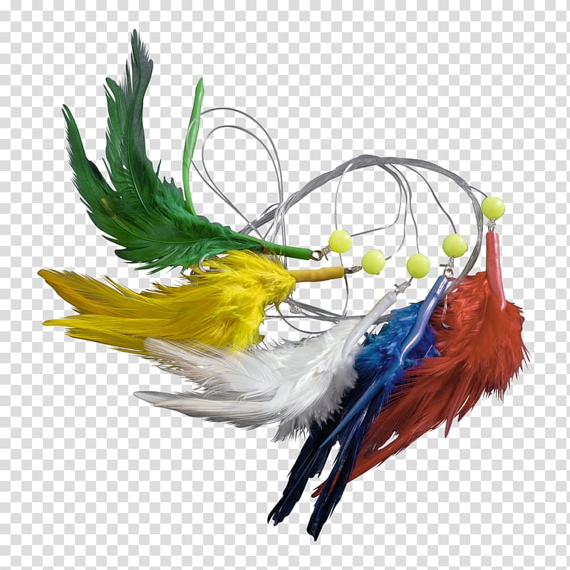 Bird Feather Macaw Beak Wing, mackerel transparent background PNG clipart