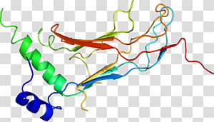 Line Point Organism , line transparent background PNG clipart thumbnail