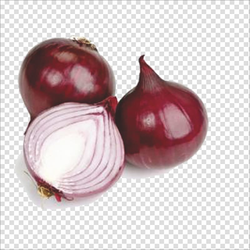 Red onion Shallot Beetroot Still life , Fresh onion transparent background PNG clipart