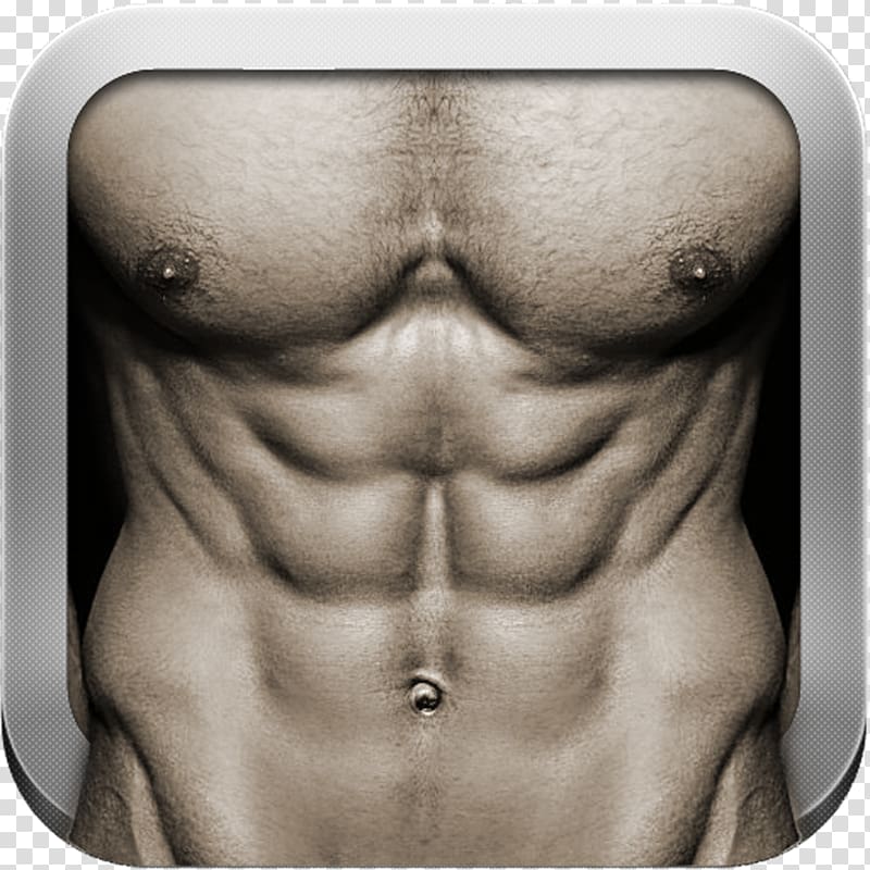 Abdominal exercise Rectus abdominis muscle Crunch Personal trainer, others transparent background PNG clipart
