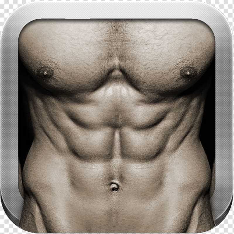 Transparent Six Pack ( Abs )