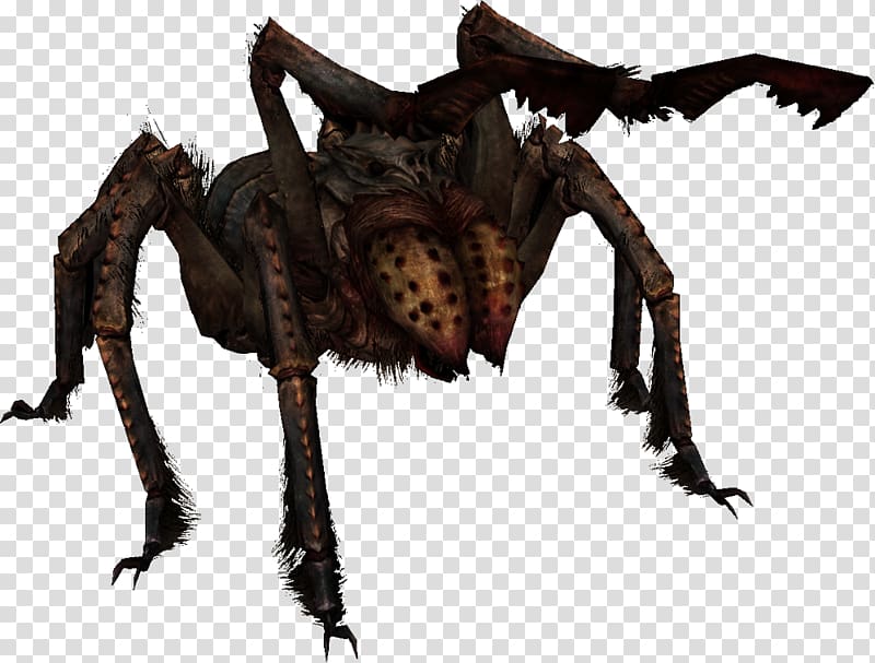 The Elder Scrolls V: Skyrim u2013 Dragonborn The Elder Scrolls Online: Dark Brotherhood Spider Wikia, Frostbite transparent background PNG clipart