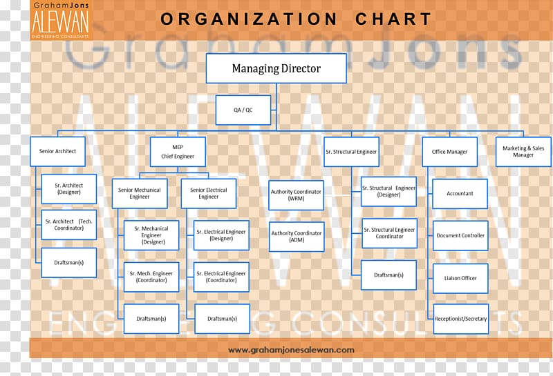 Organizational chart Diagram Consultant Company, costco organizational structure transparent background PNG clipart