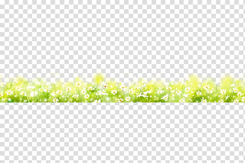 Green Data Search engine, Grass, grass, plants transparent background PNG clipart