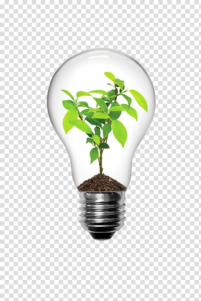 Incandescent light bulb Lighting LED lamp Electric light, Creative bulb plants transparent background PNG clipart