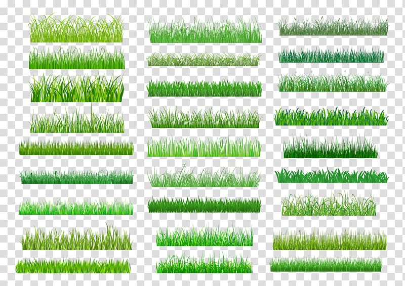 Lawn Green , Grasses style transparent background PNG clipart