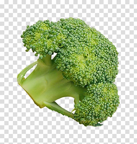 Broccoli Broccoflower Vegetable Rapini, broccoli transparent background PNG clipart