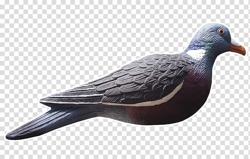 Columbidae Common Wood Pigeon Decoy Hunting Appelant, hand painted planet transparent background PNG clipart