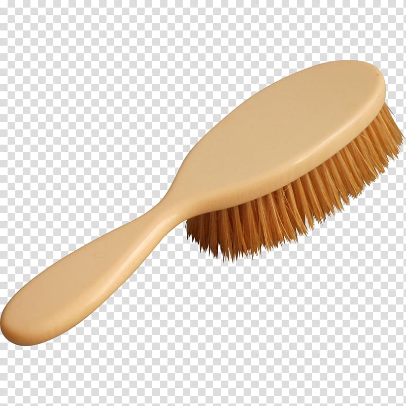 Hairbrush Bristle Wild boar Fashion, hair transparent background PNG clipart