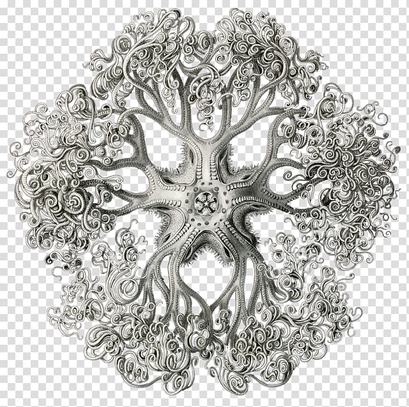 Art Forms in Nature Drawing Artist, mehndi transparent background PNG clipart