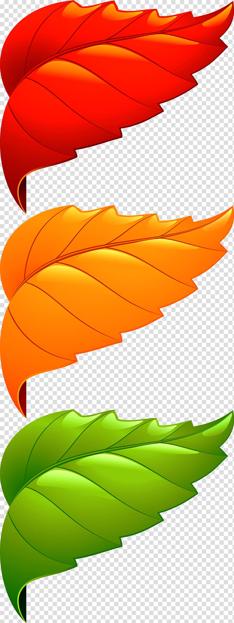 Maple leaf Adobe Illustrator, Corner decorative leaves transparent background PNG clipart